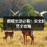 假期出游必看!安全防范全攻略(图1) 假期出游必看!安全防范全攻略(图1)