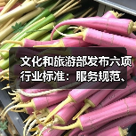 文化和旅游部发布六项行业标准:服务规范、等级划分全面升级(图2) 文化和旅游部发布六项行业标准:服务规范、等级划分全面升级(图2)
