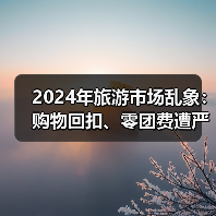 2024年旅游市场乱象：购物回扣、零团费遭严打？（图1）