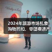 2024年旅游市场乱象：购物回扣、零团费遭严打？（图4）