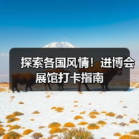 探索各国风情!进博会展馆打卡指南(图3) 探索各国风情!进博会展馆打卡指南(图3)