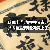 夏季出游小心毒虫叮咬，这5招能有效预防