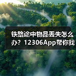 铁路途中物品丢失怎么办?12306App帮你找回(图1) 铁路途中物品丢失怎么办?12306App帮你找回(图1)