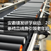 安徽银发研学启动，20条精品线路引领老年旅游新趋势（图4）