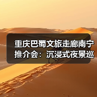 重庆巴蜀文旅走廊南宁推介会：沉浸式夜景巡游+快闪表演引爆夜间消费热潮（图4）