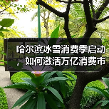 哈尔滨冰雪消费季启动，如何激活万亿消费市场？（图2）