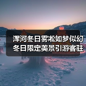 浑河冬日雾凇如梦似幻 冬日限定美景引游客驻足（图2）