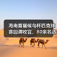 海南首届候鸟杯匹克球赛圆满收官，80余名选手同场竞技