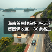 海南首届候鸟杯匹克球赛圆满收官，80余名选手同场竞技（图3）