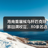 海南首届候鸟杯匹克球赛圆满收官，80余名选手同场竞技（图4）