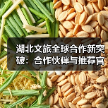 湖北文旅全球合作新突破：合作伙伴与推荐官授牌助力国际化推广（图2）