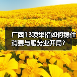 广西13项举措如何稳住消费与服务业开局？（图1）