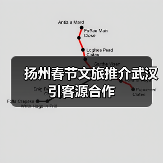 扬州春节文旅推介武汉引客源合作（图2）