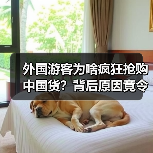 外国游客为啥疯狂抢购中国货?背后原因竟令人意外(图1) 外国游客为啥疯狂抢购中国货?背后原因竟令人意外(图1)