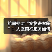 航司抢滩“宠物进客舱”:人宠同行服务如何改变民航?(图2) 航司抢滩“宠物进客舱”:人宠同行服务如何改变民航?(图2)