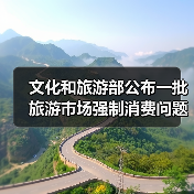 文化和旅游部公布一批旅游市场强制消费问题典型案例（图3）