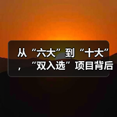 从“六大”到“十大”,“双入选”项目背后的文化密码(图4) 从“六大”到“十大”,“双入选”项目背后的文化密码(图4)