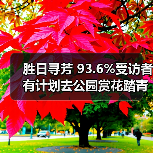胜日寻芳 93.6%受访者有计划去公园赏花踏青(图4) 胜日寻芳 93.6%受访者有计划去公园赏花踏青(图4)