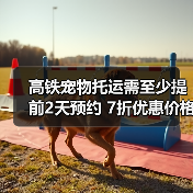 高铁宠物托运需至少提前2天预约 7折优惠价格（图2）