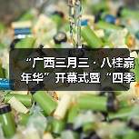 “广西三月三・八桂嘉年华”开幕式暨“四季村歌”活动启动仪式在南宁举行(图4) “广西三月三・八桂嘉年华”开幕式暨“四季村歌”活动启动仪式在南宁举行(图4)