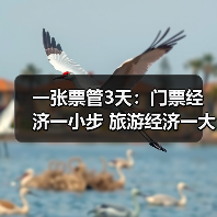 一张票管3天：门票经济一小步 旅游经济一大步（图3）