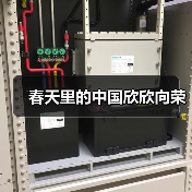 春天里的中国欣欣向荣（图2）