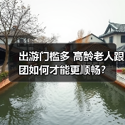 出游门槛多 高龄老人跟团如何才能更顺畅？（图4）