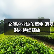 文旅产业破茧重生 消费潜能持续释放（图2）