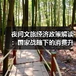 夜间文旅经济政策解读：国家战略下的消费升级新支点（图3）