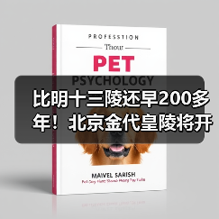 比明十三陵还早200多年！北京金代皇陵将开放（图1）