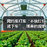 网约车打车“不给红包就下车”，哪来的规矩？（图3）