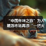 “中国年味之旅”为入境游市场再添“一把火”（图4）