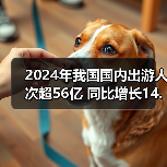 2024年我国国内出游人次超56亿 同比增长14.8%（图1）