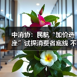中消协：民航“加价选座”试探消费者底线 不应成为“行业惯例”（图1）