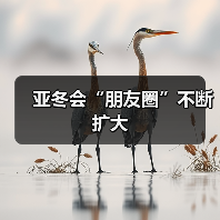 亚冬会“朋友圈”不断扩大（图4）