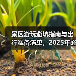 景区游玩避坑指南与出行准备清单，2025年必备攻略（图1）