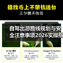 自驾出游路线规划与安全注意事项2026实操指南（图2）