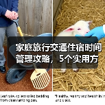 家庭旅行交通住宿时间管理攻略，5个实用方法解决出行难题