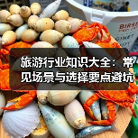 旅游行业知识大全：常见场景与选择要点避坑指南（图1）