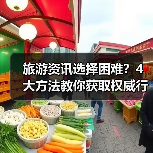 旅游资讯选择困难？4大方法教你获取权威行业动态（图2）